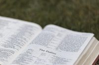 bible, christianity, religion, bible study, bible verse, bible reading, nature, book, pages, christian bible, god, grass, christian symbol, word of god, scripture, holy, christian background