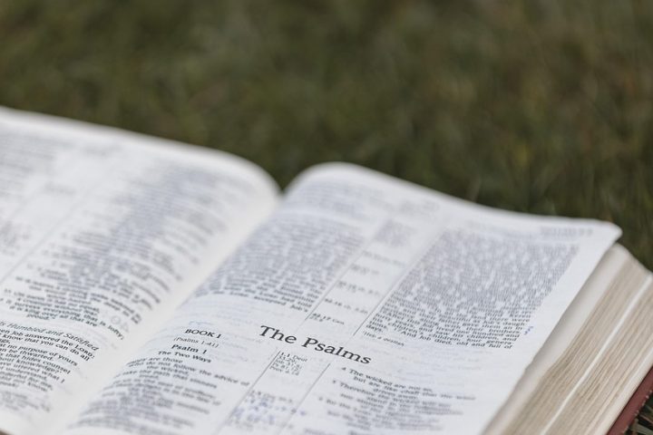 bible, christianity, religion, bible study, bible verse, bible reading, nature, book, pages, christian bible, god, grass, christian symbol, word of god, scripture, holy, christian background